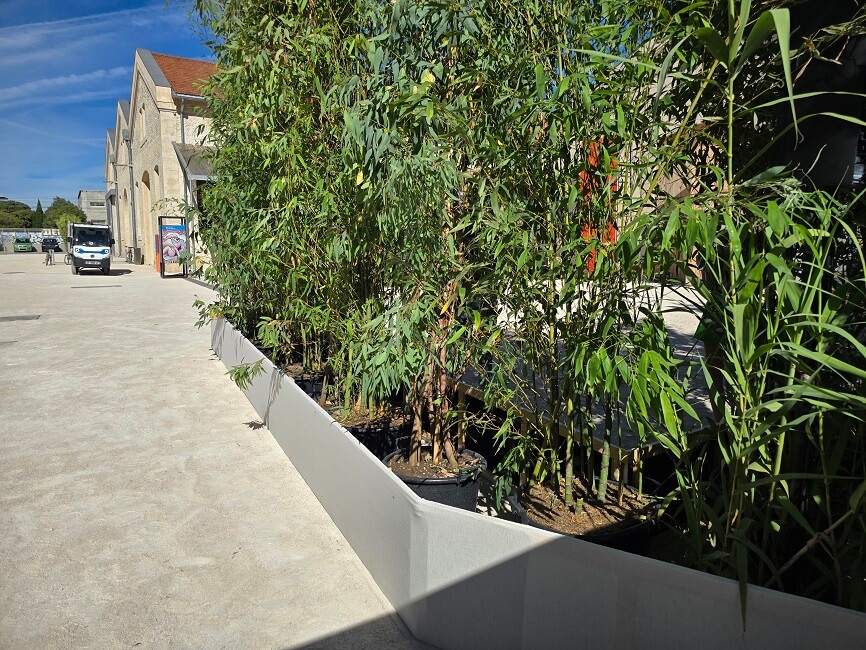 Location plantes DIOR Arles